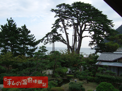 お宿しらなみ　中庭を望む