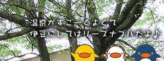 開耶　トップイメージ