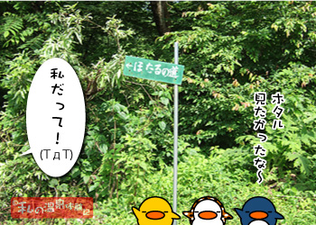 檜の宿 水上山荘　谷川を散策