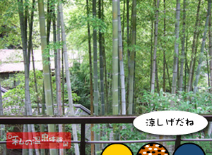 伊古奈　志野の部屋からの眺望
